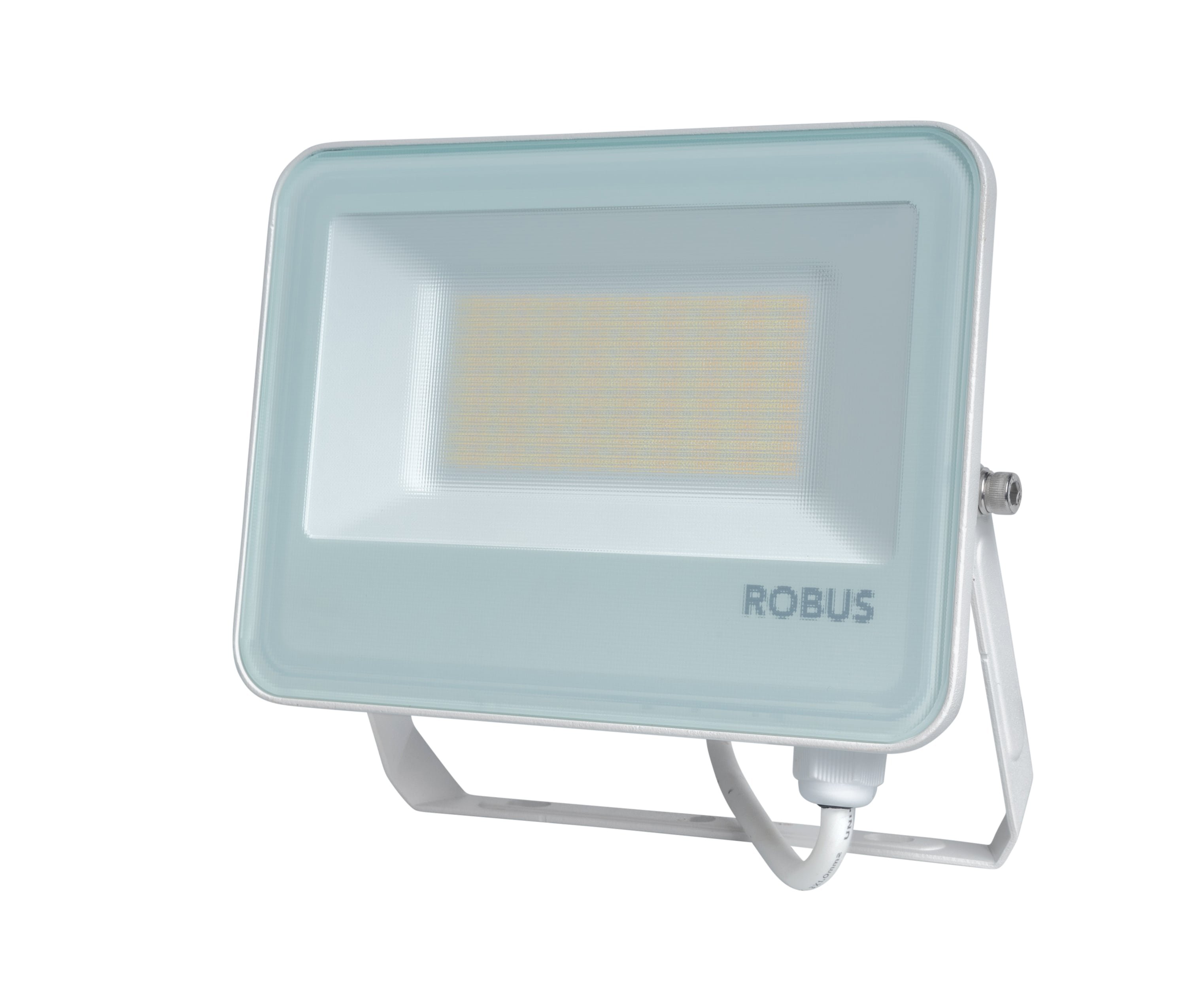 SELEST PLUS 30W/50W Floodlight IP65 CCT3 White c/w 1m flex